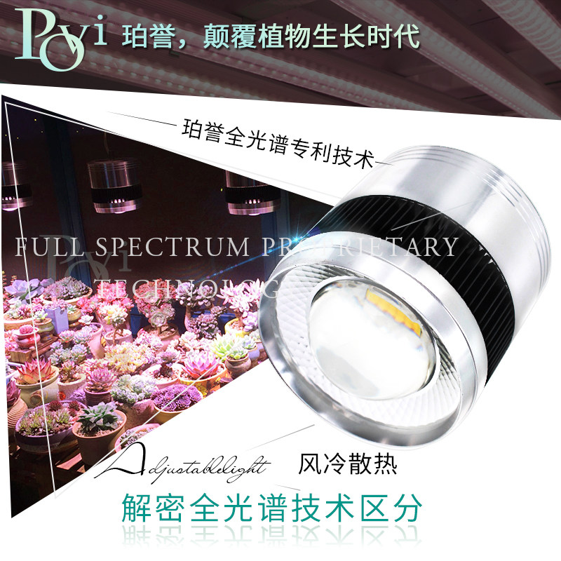 珀誉多肉补光灯上色全光谱仿太阳育苗卉上色生长灯