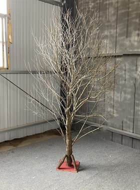 树枝干枝白色树干许愿树橱窗枯树杆仿真婚庆酒店庭院树枝装饰造景