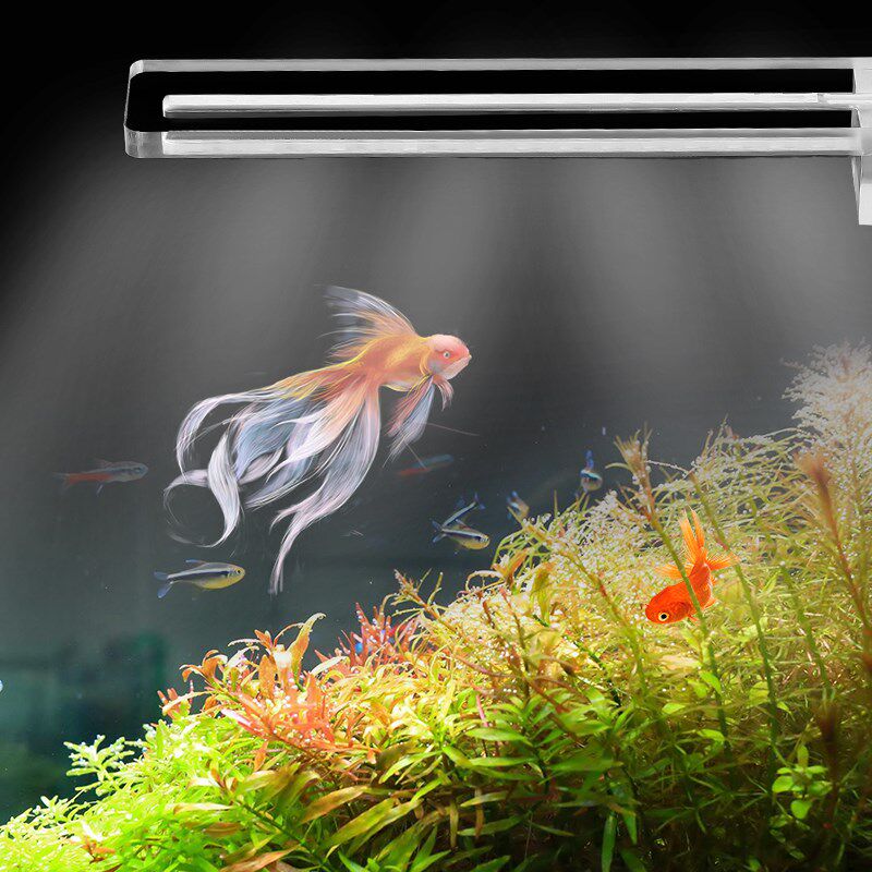简约鱼缸灯led夹灯小型亚克力usb1w节能照明防溅水高亮水族灯具