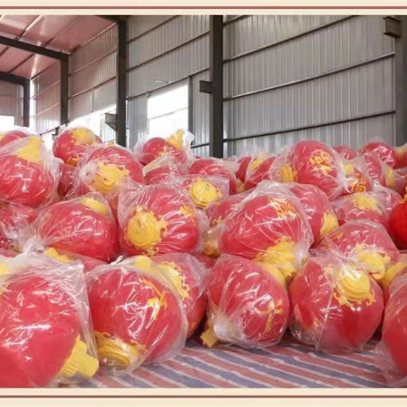 新亚克力塑料发光LED灯笼户外防水连串电线杆灯笼城市亮化景观灯