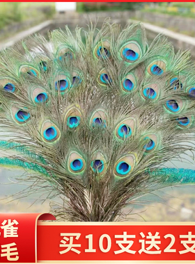天然真孔雀羽毛翎尾大眼睛客厅摆件花瓶插花装饰品DIY配件孔雀毛