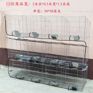 兔子笼子养殖12位子母9位种兔24位商品兔笼兔舍养殖笼特大号兔笼