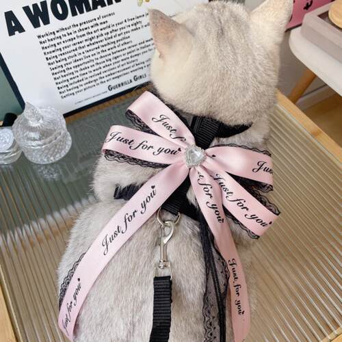 小猫牵引绳猫咪牵引绳防挣脱外出遛猫绳溜猫胸背带小猫蝴蝶结
