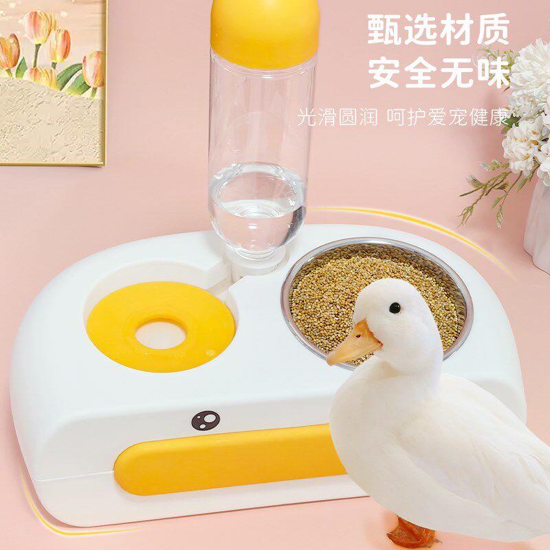 鸭子自动饮水器食盆宠物喂食器柯尔鸭防踩翻养小鸡吃饭碗用品