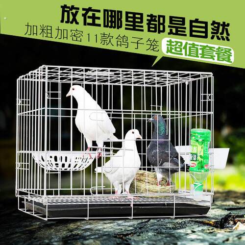 鸽子笼配对笼繁殖鸽子笼家用养殖鸽子笼折叠加密笼运输鸽笼可