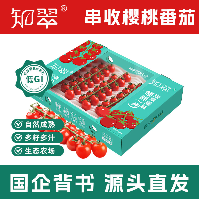 【知翠】串收樱桃小番茄生吃西红柿自然熟新鲜水果小柿子