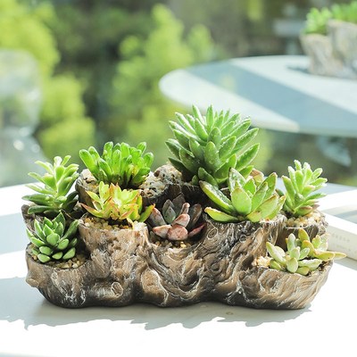 创意长方形多口花盆根雕枯木中大号口径仿木阳台客厅多肉肉盆