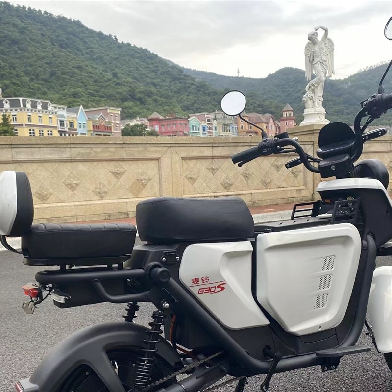 麦铃G30G30s后坐垫加厚加宽毛毛虫后座载人套装扶手靠背直上