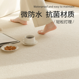 客厅卧室地垫大面积家用加厚防水防滑硅藻丝高级 法风地毯2024新款