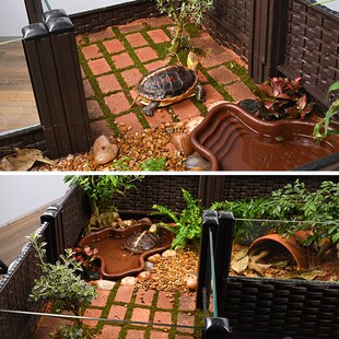 黄缘龟专用饲养箱半水龟生态造景绿植物缸套餐带轮子可移动超大缸