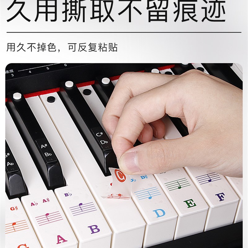 钢琴键盘贴88/61/54键通用手卷钢琴电子琴琴贴纸五线谱简谱键位贴