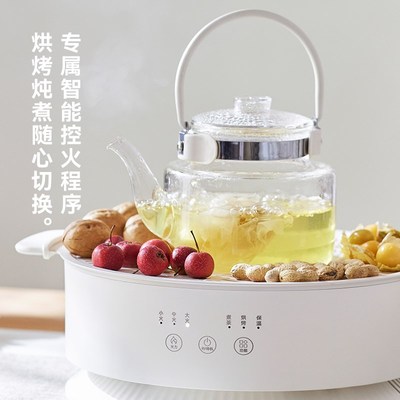 ol立时冬至围炉煮茶器电陶炉家用器具全电茶炉全玻璃养生壶