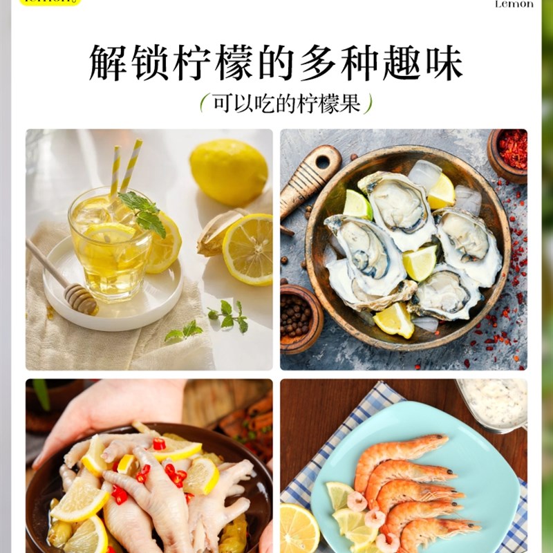 香水柠檬树苗果树盆栽四季带果可食用室内客厅阳台好养花卉绿植物