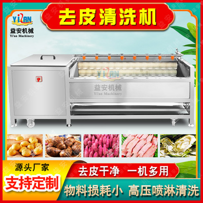 实体厂家大型喷淋毛辊清洗机 全自动土豆脱皮机 多功能芋头去皮机