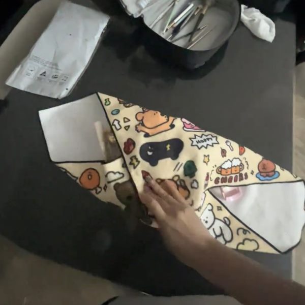 可爱便携化妆通用百贴布相机魔术布内胆包微单ipad单反相机保护袋