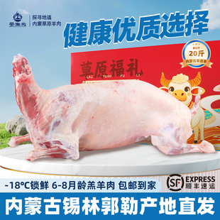 内蒙古羊肉锡林郭勒草原羔羊肉新鲜冷冻20斤羊羊腿羊排羊脊骨