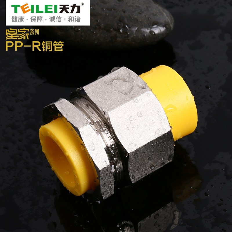 天力ppr水管管材配件皇家铜芯管冷热水管配件4分6分双承口活接头