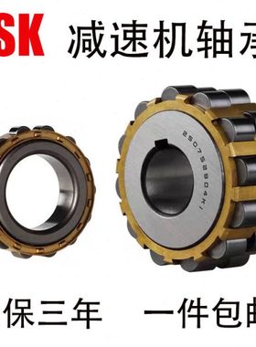 减速机偏心轴承RN205 206 307 308 309 312 219 222M圆柱滚子系列