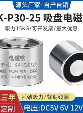 P30/25电磁铁 吸力15公斤长时间通电电磁铁 电吸盘 DC12V  DC24V