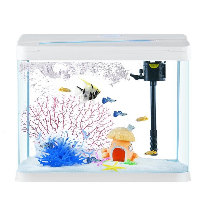 鱼缸小型客厅小鱼缸2024新款玻璃缸生态造景全套斗鱼金鱼桌面家用