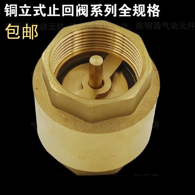 DN15 20 4分 6分 1寸 黄铜立式止回阀 黄铜逆止阀 单向阀 止逆阀