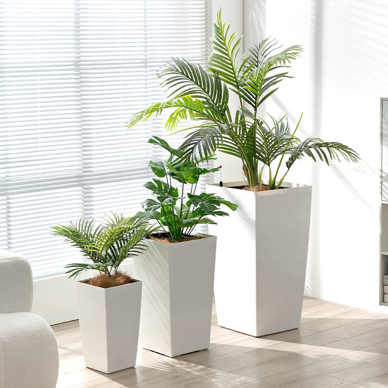 家用大花盆白色加厚自吸水客厅大绿植百合竹幸福树龙血树专用花盆