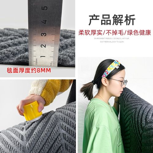 蓝色入户门新款地垫深蓝色脚垫门外门垫家用门口防滑室外入门地毯