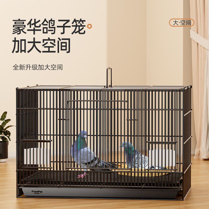 鸽子笼子家用养殖笼新型鸟笼专用繁殖巢窝用具配对训放笼用品大全