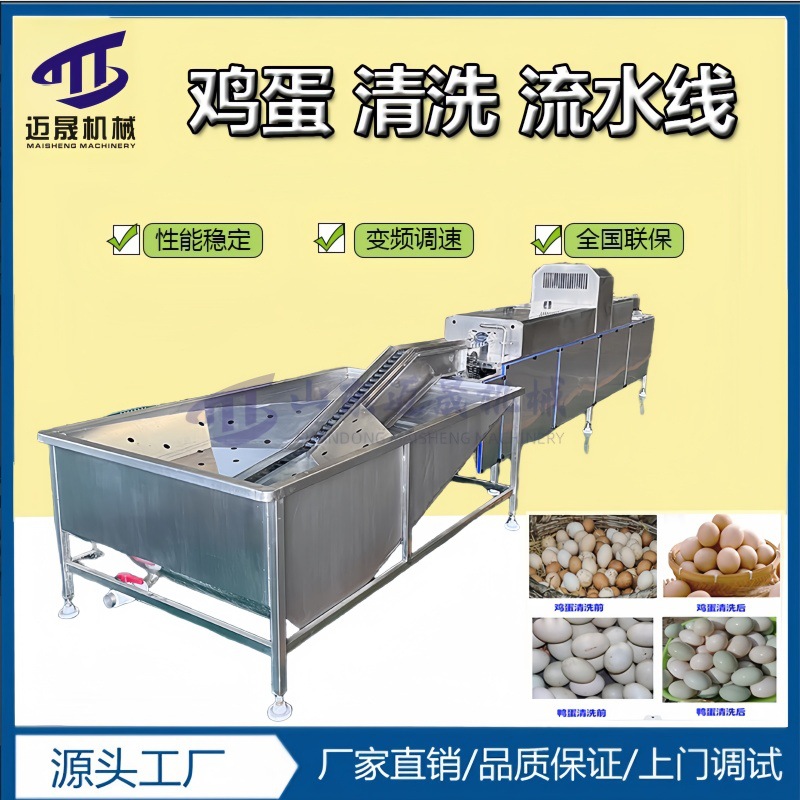 洗蛋机食品级304不锈钢洗蛋机鸡蛋流水线自动化设备鲜鸡蛋清洗机