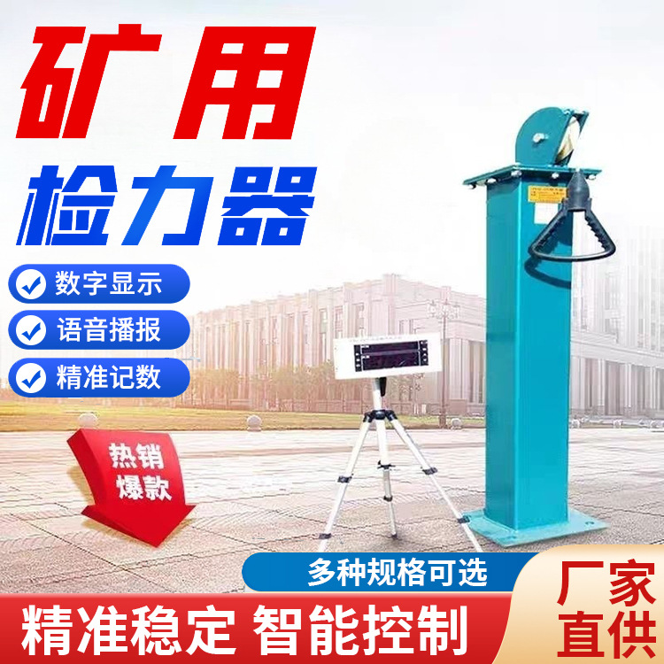 YSJ-20检力器 单双臂力器 语音数显检力器 消防员首选