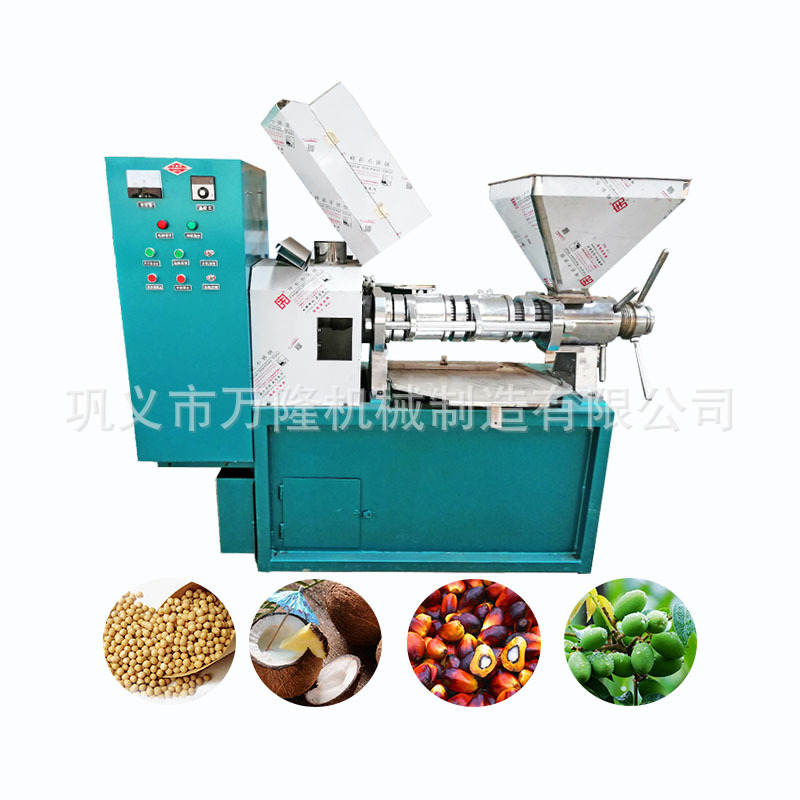 螺旋榨油机 全自动商用花生油炸油机 不锈钢小型棕榈果大豆压油机