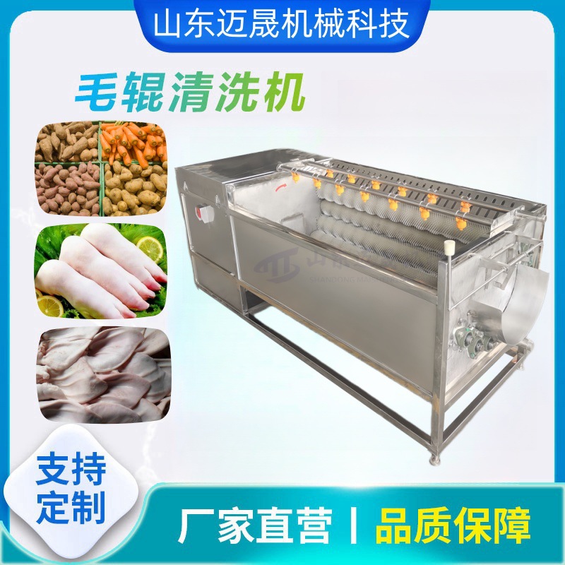 定制大型猪蹄猪头毛辊清洗机 牛蹄清洗机 不锈钢毛辊清洗去皮机
