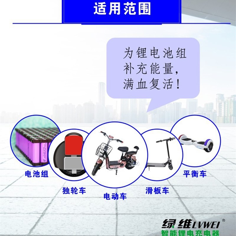 电动车锂电池充电器2V滑板平衡绿维智能过压保护阻燃外壳T型品头