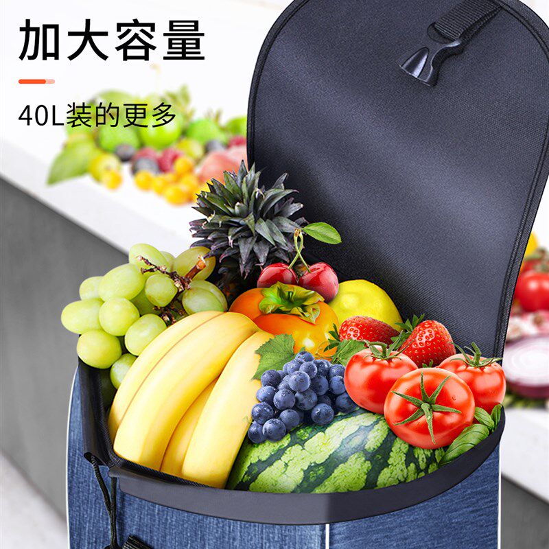 买菜车小拉车家用轻便布袋老年人购物拉杆超轻手推车便携爬楼,收纳整理,便携购物车,淘宝优惠券,粉丝福利购,淘宝优惠卷