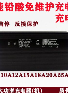 电动汽车三四轮车大功率充电器48伏105AH60v72V8免维护电池新能源