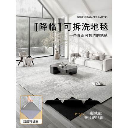 地毯客厅可机洗双层可拆洗2024新款轻奢高级感沙发茶几加厚地垫子