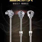 WRN K型PT100不锈钢热电偶热电阻测高温度传感器探头 230 WZP 130
