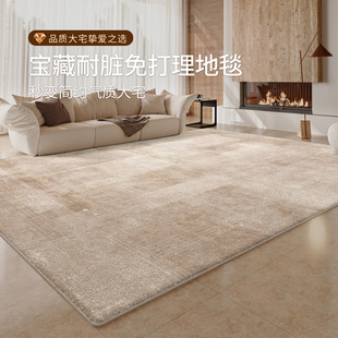 地毯客厅免打理卧室床边垫轻奢高级免洗可擦新款防污可拆洗奶油风