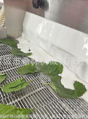 桑叶上浆机香酥翠叶裹浆机面包片裹稀浆专用设备自动上浆机器