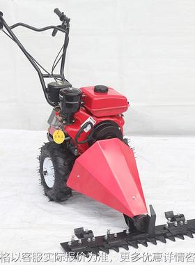 Push Lawn Mower 20