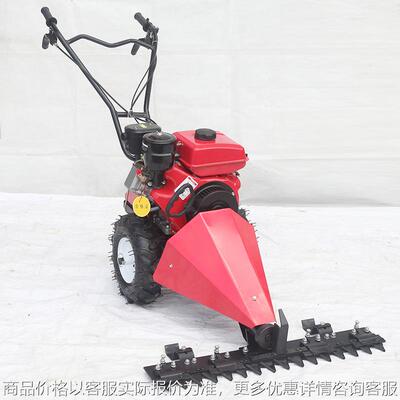 Push Lawn Mower 20