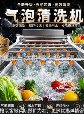 红枣气泡清洗机葡萄干清洗设备食品加工专用设备花生小柿子
