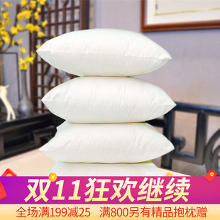 沙发靠垫枕头靠枕枕芯心抱枕芯45 60正方形一对家用腰枕长方形
