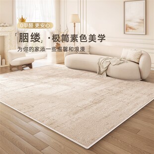 轻奢高级沙发家用奶油侘寂风卧室床边毯免洗地垫 地毯客厅2025新款