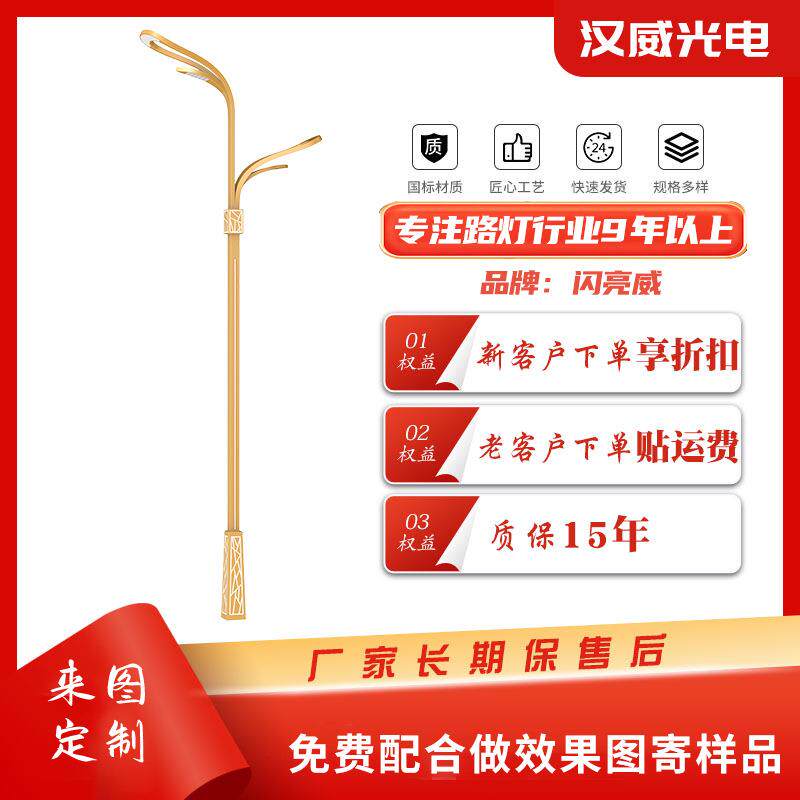 厂家LED双臂高杆模组路灯户外市政小区工程道路照明市电灯头