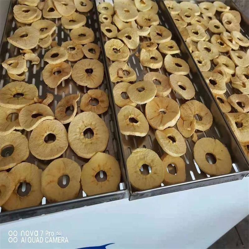 非油炸苹果脆片膨化设备无花果片压差膨化机果蔬真空干燥机