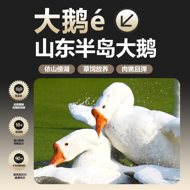 【新品】一只喜欢大鹅烘焙鲜肉无谷成猫幼猫全价高蛋白烘焙猫粮,宠物/宠物食品及用品,猫全价风干/烘焙粮,淘宝优惠券,粉丝福利购,淘宝优惠卷