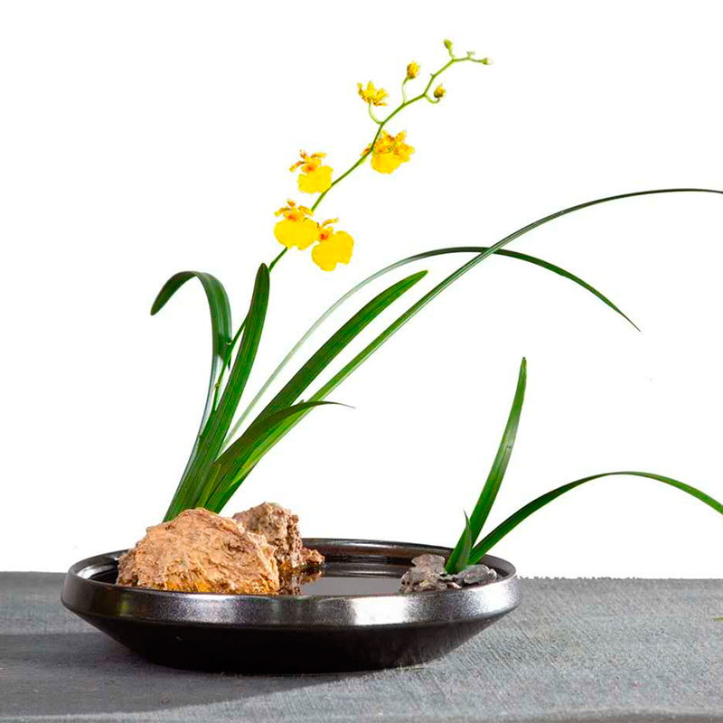 风凌石头奇石沙漠戈壁玛瑙灵璧石观赏石盆景禅意插花工具材料原石