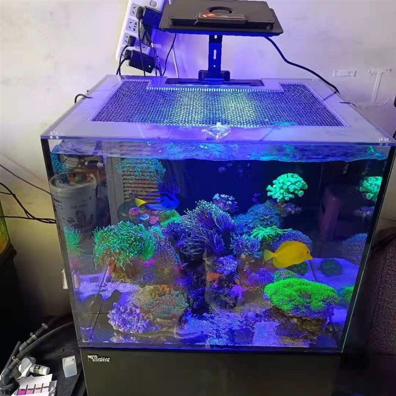 新款耐力板PC亚克力水族盖海缸原生马口雷龙鱼防跳网定保温透气