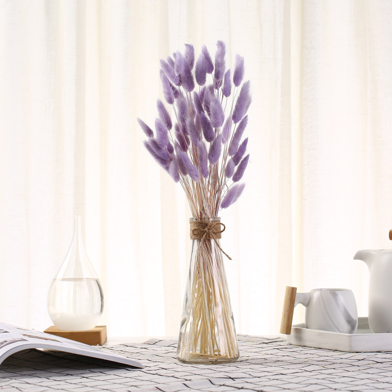 兔尾草干花狗尾巴草真花家居装饰客厅摆放酒店会议用花拍摄道具,家居饰品,干花/花瓣/干花包/干树枝,淘宝优惠券,粉丝福利购,淘宝优惠卷